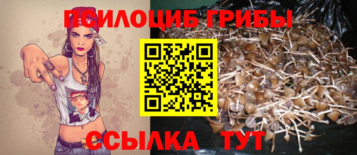 Галлюциногенные грибы GOLDEN TEACHER Соликамск